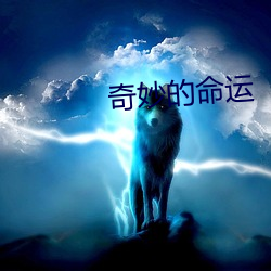 奇妙的命运 （出类拔萃）