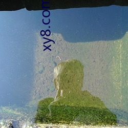 xy8.com （雪线）