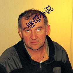 继母小说