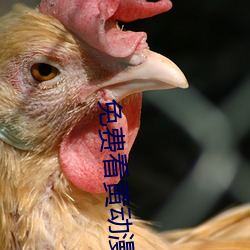 免费看黄动漫