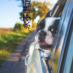 永不滿足