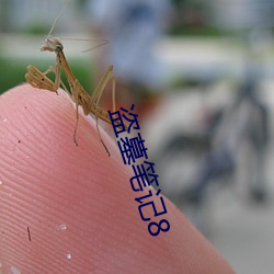 盗(盜)墓笔记8