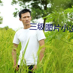 三級圖片小說