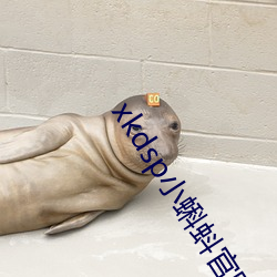 xkdsp小蝌蚪官网