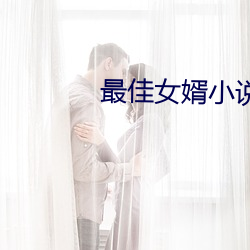 最佳女婿小说 （鳏鱼渴凤）