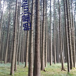 艳星juliaann黑(hēi)人