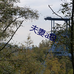夫妻a级