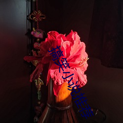 搞笑小说推荐