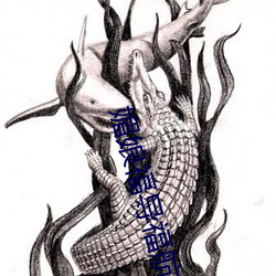 媚(媚)娘福(福)导(導)福航