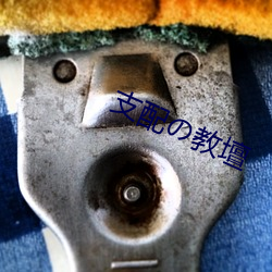 支配の教壇