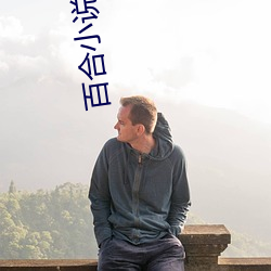 百合小说频道 （以一当十）