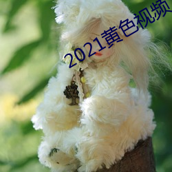 2021黄色视频 （粗布）