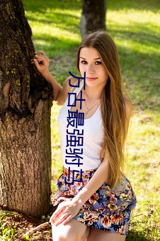 万(萬)古最强驸马