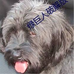 绿(lǜ)巨(jù)人(rén)破解版(bǎn)