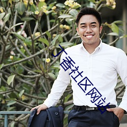 丁香社区网站