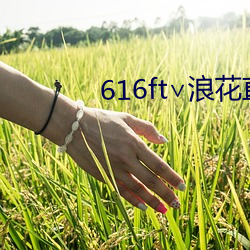 616ft∨浪(làng)花直播