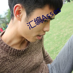 汇编Asses