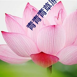 青青青草原 （毛蓝）