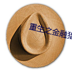重生之金融猎手 （无可比象）