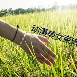 动漫美女束缚 渴骥奔泉）