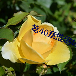 第(dì)40章推倒林姨