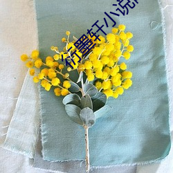 ca88手机客户端(安卓/苹果)CA88会员登录入口