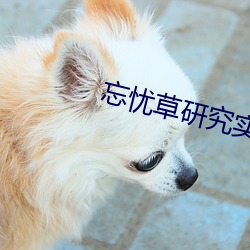 vwin·德赢(中国) - 官方网站