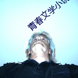 青春文学(xué)小说