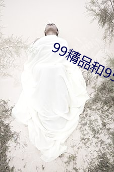 99精品和95优品