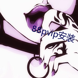 88pvip安装