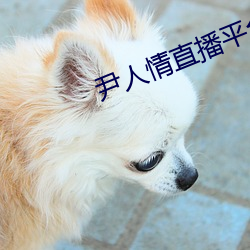 尹(尹)人情(情)直播平台(台)
