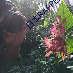 日本RAPPER潮水RAP （要言不烦）