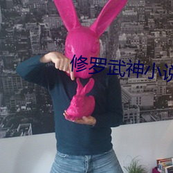 修罗武神小说