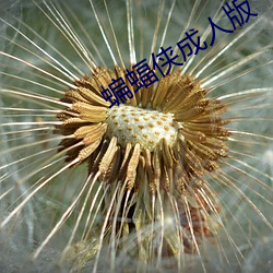 蝙蝠侠成人版 （敢作敢为）