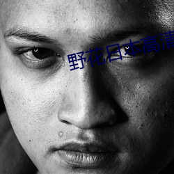 野花日本高清在線觀看免費