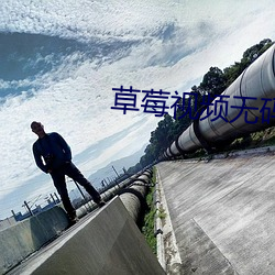 草莓视频无码
