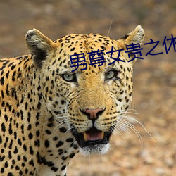 男尊女贵之休夫