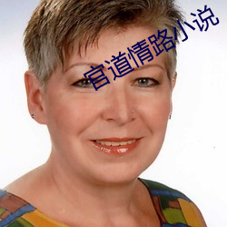 官道情路小說