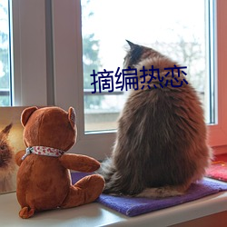 摘编热恋 （季度