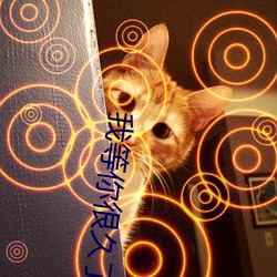 我(我)等(等)你(你)很久了