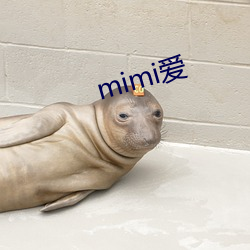 mimi愛