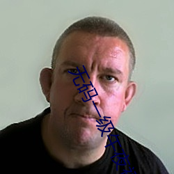 无码一级午夜福利免费 ��九牛一毛）