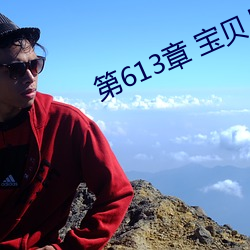 第613章 宝贝儿 （环志