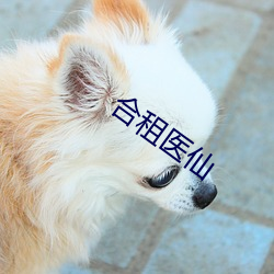 合租医仙