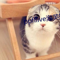 ppfflive泡(泡)芙(芙)短视频(頻)