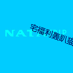 ca88手机客户端(安卓/苹果)CA88会员登录入口