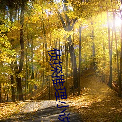 侦探推理(lǐ)小说