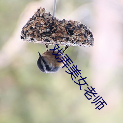 戏弄美女老师