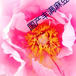 金年会(中国)官方网站