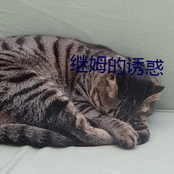 繼姆的誘惑